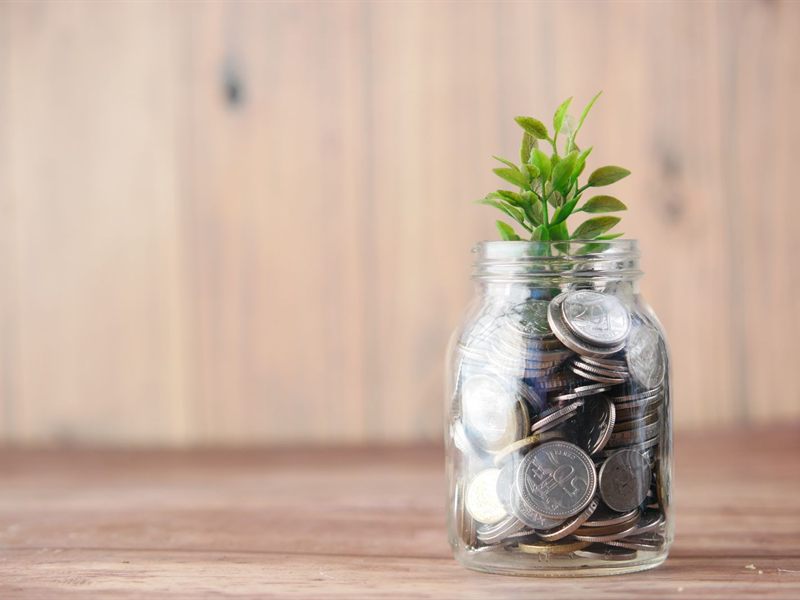 Jar of coins with a small plant