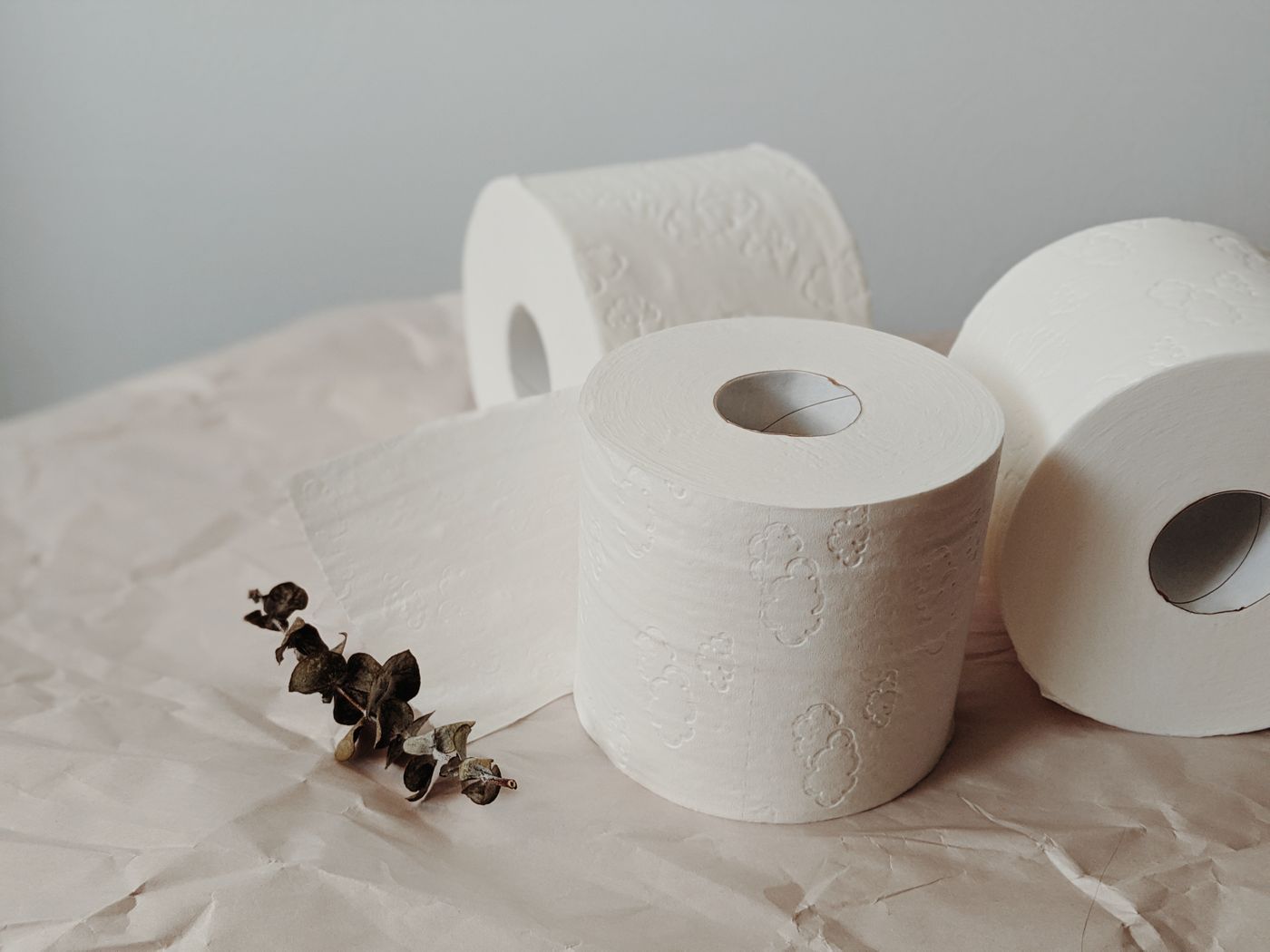 Toilet paper rolls with a sprig of eucalyptus