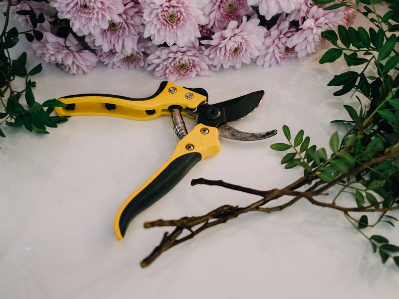 Pruning shears beside flowers and branches