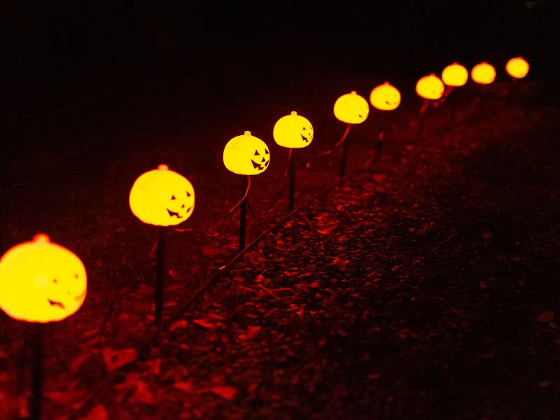 Row of glowing pumpkin lights along a path