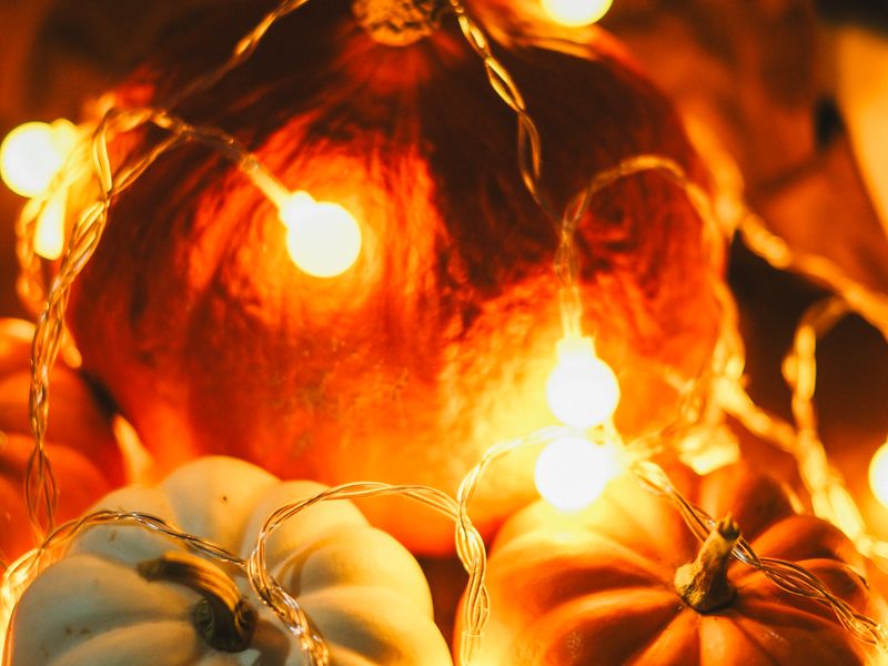 Warm string lights glowing over pumpkins
